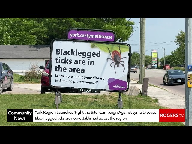 Vídeo relacionado con Camiseta antimosquitos Fight the Bite - Repelente de enfermedades de Lyme Camiseta
