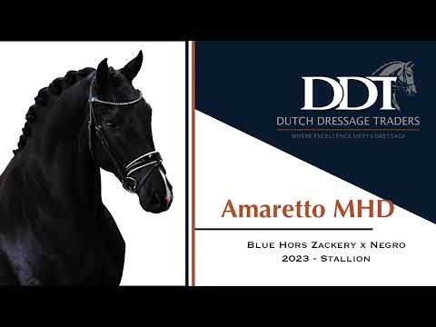 Amaretto MHD