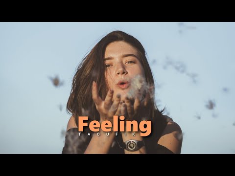 Taoufik - Feeling