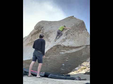 Spectre V13, Bishop