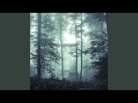 Törnrosvägen Birds