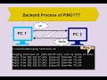 Backend Process Of PING