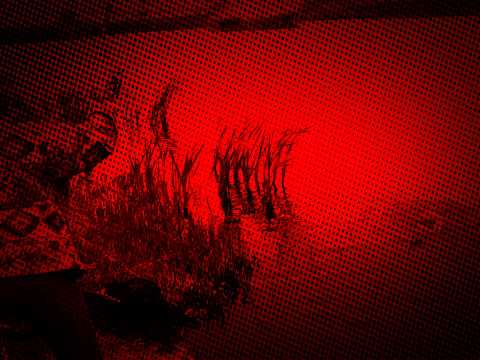 Balta Sanpaul Arad 2014