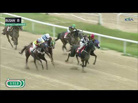 (Busan) 2024.06.30 R8 Class Open (1600M) Weight for Age / Owners' Cup (KOR G3)
