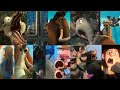 Blue Sky Studios Screaming Crossover Pert 1 Screams