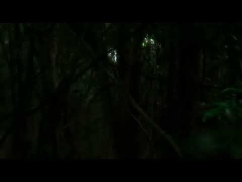 숨소리와 속삭임 Breathing and Whispering | 전준혁 JEON Junehyuck | The 26th JEONJU IFF OFFICIAL TRAILER 예고편