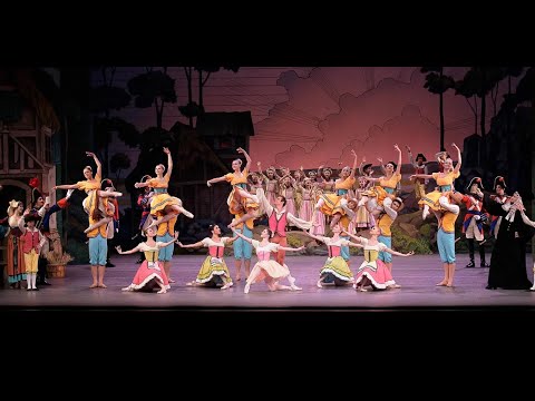 Riccardo Drigo - La Flûte Magique