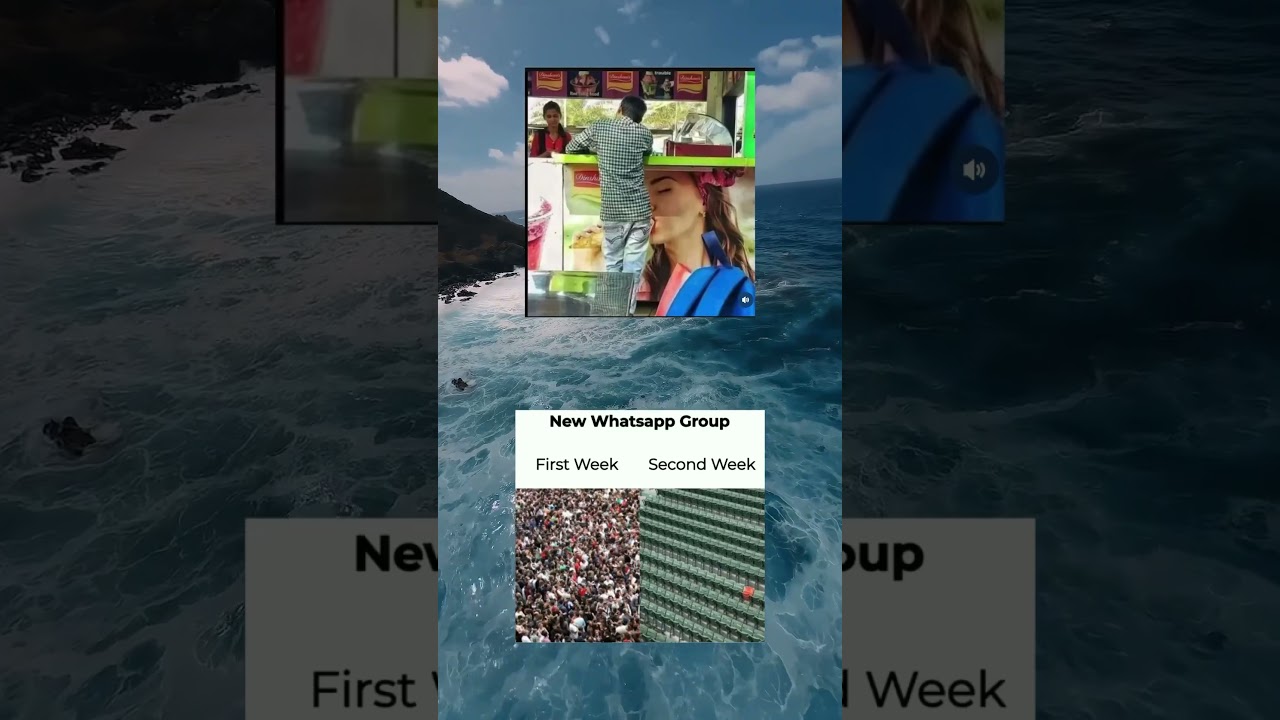 New WhatsApp group 😂😂