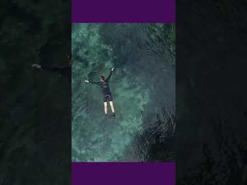 AQUÁRIO NATURAL - BONITO - MATO GROSSO DO SUL