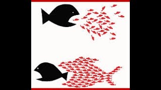 What Would You Do - Steppenwolf / Best Track&#39;s ever