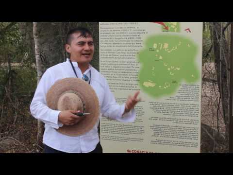 The sound of Maya language