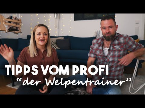 ein Welpe zieht ein I Q&A mit André Vogt der Welpentrainer I Mellis Blog
