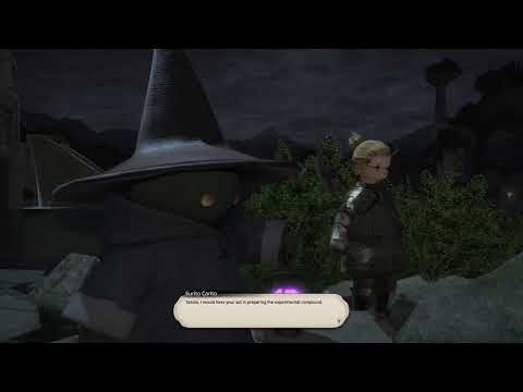 FFXIV [Primal DC] SCH level 80 job quest