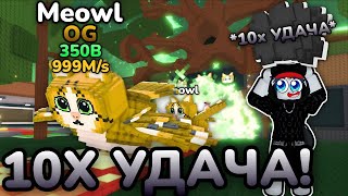 🍀🦉АДМИН ДАЛ МНЕ 10X УДАЧУ и Я ПОЛУЧИЛ НОВОГО OG Meowl в Steal A Brainrot! ROBLOX