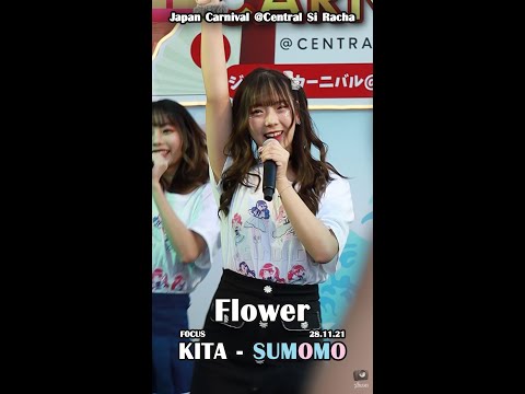 ✨ Flower - Sumomo [Kita Focus] ✨