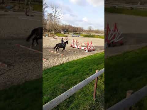 Buzz jump practice NT Dec2019