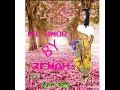 Mi amor by Zenah ft Nature Don-(official audio)