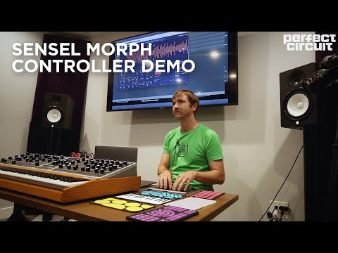 Sensel Morph image 2