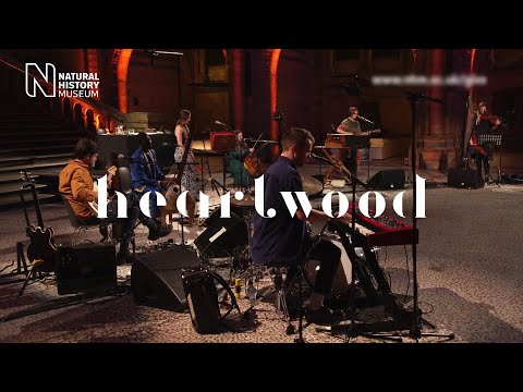 Spell Songs - Heartwood (Live at The Natural History Museum)