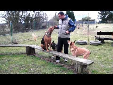 Der Hundflüsterer aus Rodheim !!