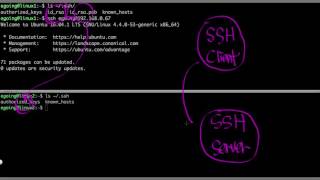 Linux - Loginless 3 : RSA
