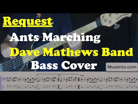 Ants Marching - Bass Cover - Request