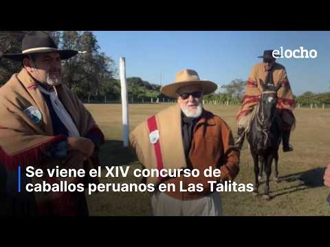 SE VIENE EL XIV CONCURSO DE CABALLO PERUANOS EN LAS TALITAS