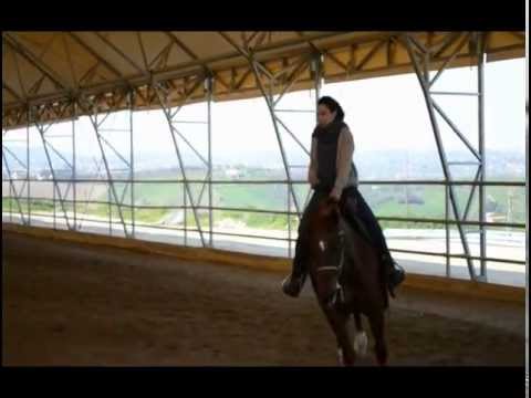 Einsteins Delight ( Reining Horse )