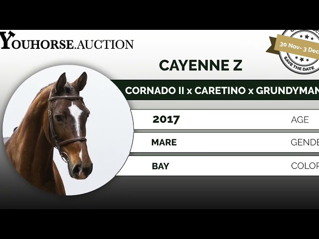 Cayenne Z showvideo