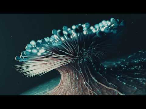 Young Directors Award 2017 Cannes - Opening Spot