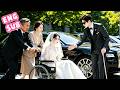 Disfigured Legs Broken Forced To Marry A Blind CEO But He Spoils Me Drama Ceo Love