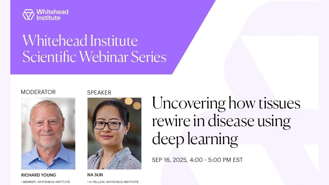 Uncovering how tissues rewire in disease with deep learning