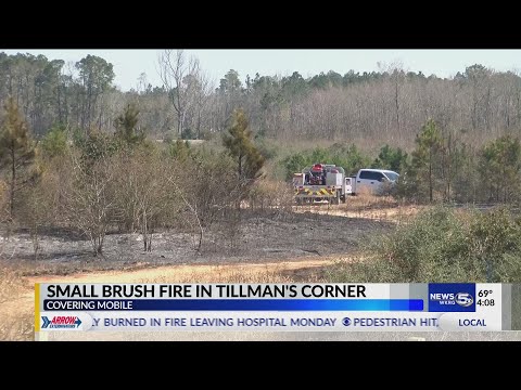 Mobile firefighters work brush fire in Tillman's Corner