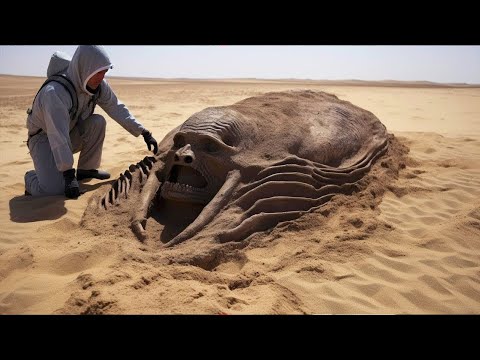 古代墓地のゴールドラッシュ:考古学者がエジプトの宝物を発見