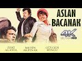 Aslan Bacanak Türk Filmi 4K ULTRA HD ZEKİ ALASYA METİN AKPINAR