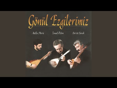 Video Yükleniyor...