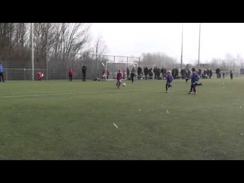 Ben Mesman: Overbos F11- Overbos F9