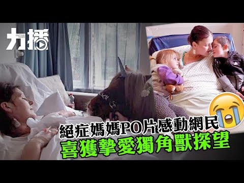 喜獲摯愛「獨角獸」探望 喜獲摯愛「獨角獸」探望