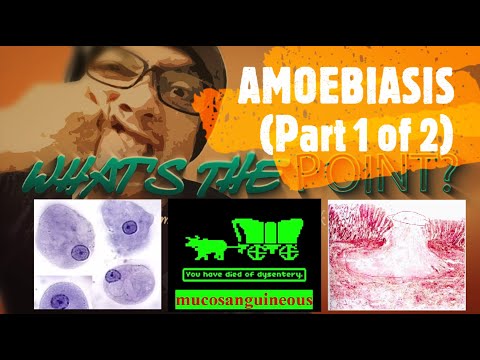 AMOEBIASIS (Part 1 of 2) - organism, disease and pathophysiology