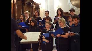 preview picture of video 'L'inaugurazione del nuovo organo della Cattedrale di Trivento'