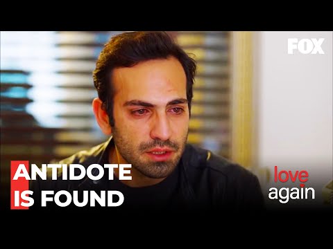 Antidote For Zeynep Is Found - Love Again Episode 84