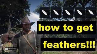 Red dead redemption 2 How to get feathers!!