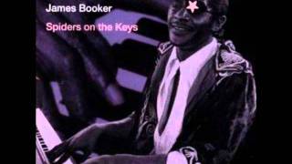James Booker - Gonzo&#39;s Blue Dream