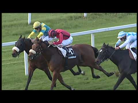 2019-11-14 Corsa 3 Metri 1200 Premio I Sellai Di Pisa