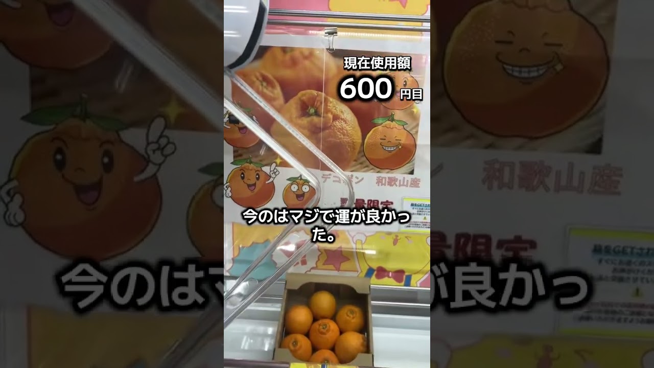 体重70キロになるまで終われないクレーンゲームの景品だけで生活64日目 #clawmachine #クレーンゲーム #ゲームセンター #ufoキャッチャー #ゲーセン #フック設定