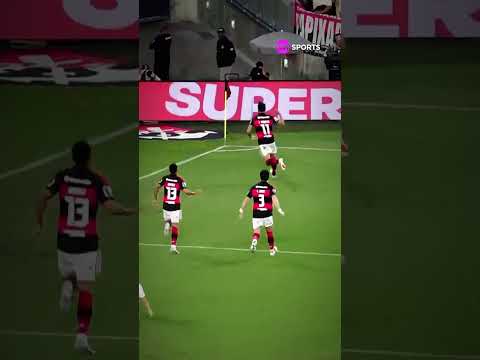 SOBROU PRO PAQUETÁ NA ÁREA E ELE NÃO PERDOOU! #shorts