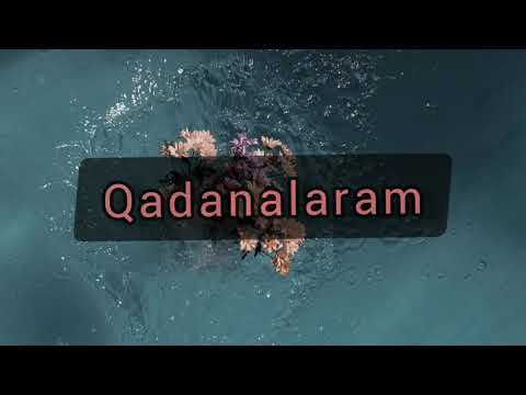 Miro ft Rizo ft Apollon  -    Qadanalaram   karaoke