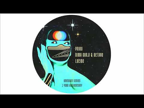 Nima Gorji & Octave - Here (Unknown Series)