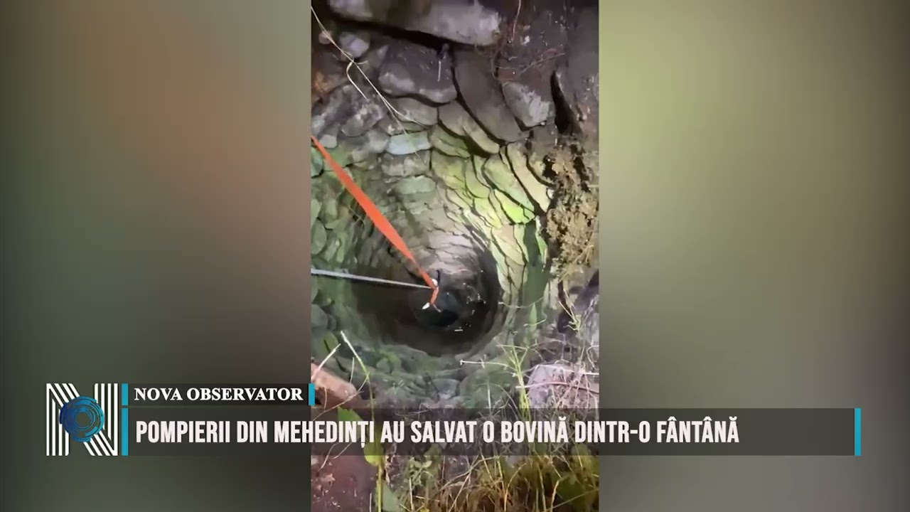Pompierii din Mehedinți au salvat o bovină dintr-o fântână