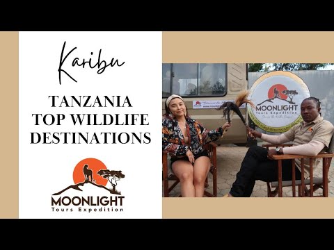 Tanzania Safari: A Journey into the Wilderness – Episode 2